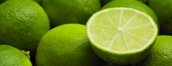 Nutrition Farmer Of The Month – First Winners