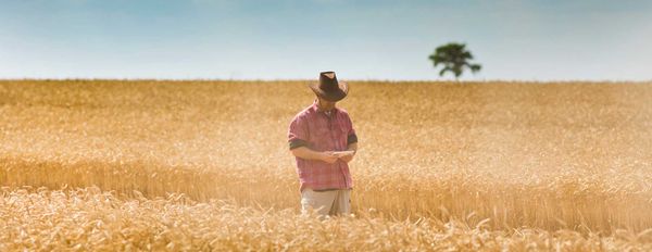 In-Field Diagnostics