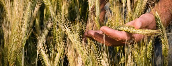 The Challenge of Change – Overcoming Habits and Fear (Part 2)