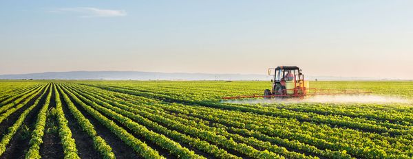 Loose with the Truth – Assessing the Glyphosate Spin