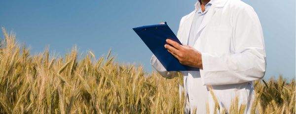 Soil Therapy™ Guidelines – Understanding your Soil Report (Part 6)