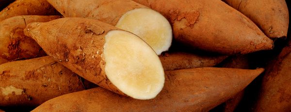 Insights and Lessons Learned – Robert Craig Interviews Graeme Sait (Part 4)