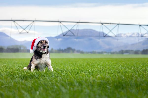 End of Year Considerations - Fine Tuning our Focus