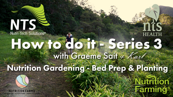 🌱 The Blueprint for Nutrient-Dense Gardening Success at Home - How to S3E4🌿