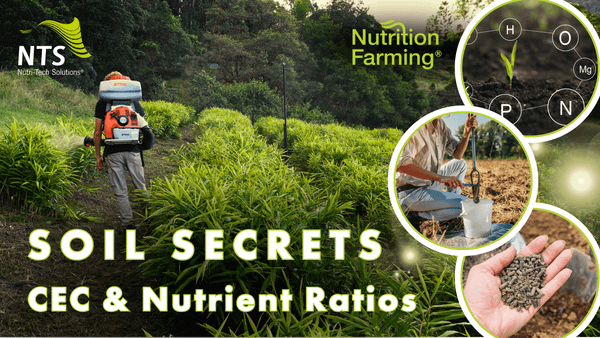 🌱Soil Secrets - Mastering CEC & Nutrient Balance for Maximum Yield - How to S3E10🌿