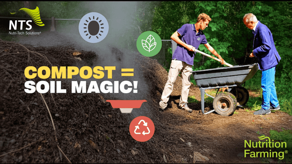 🌱Compost: Supercharge Soil Health with Microbial Magic - How to S3E13🌿