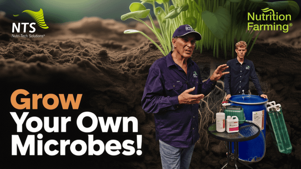 🌱Grow Your Own Microbes: The DIY Secret to Supercharging Your Soil - How to S3E14🌿