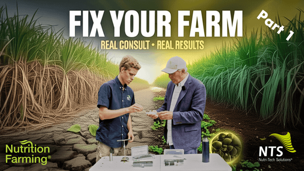 🌱The Future of Farming: Practical Nutrition Farming Solutions - Part 1 - How to S3E15🌿