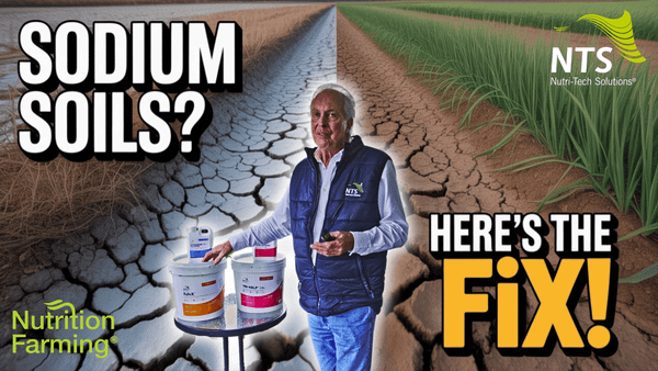 🌱Tackling High Sodium Soils - How to S4E1🌿