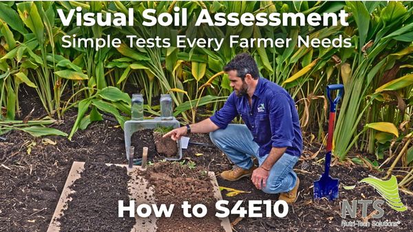 🌱Visual Soil Assessment🌿Simple Tests Every Farmer Needs - How to S4E10