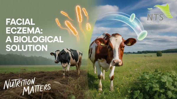 🌱Getting back to Root Causes - The NTS Facial Eczema Protocol🌿