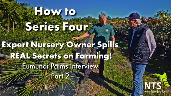 🌱Expert Nursery Owner Spills REAL Secrets on Farming!🌿Eumundi Palms Interview - Part 2 - How to S4E9
