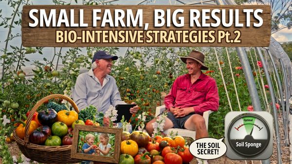 🌱 From Soil to Soul: Why a Top Chef Traded the Kitchen for the Garden - How to S5E4 🍅