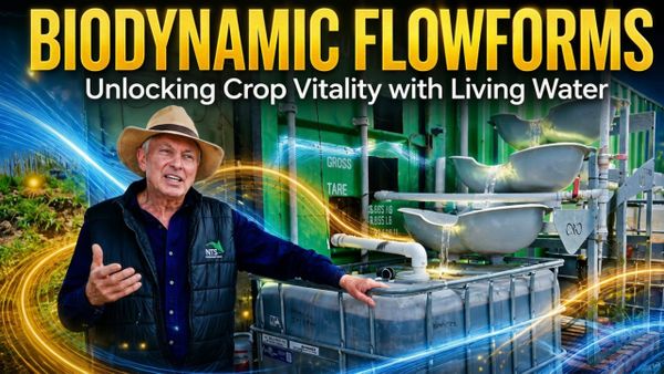 🌱 Biodynamic FlowForms: Unlocking Crop Vitality with Living Water ✨