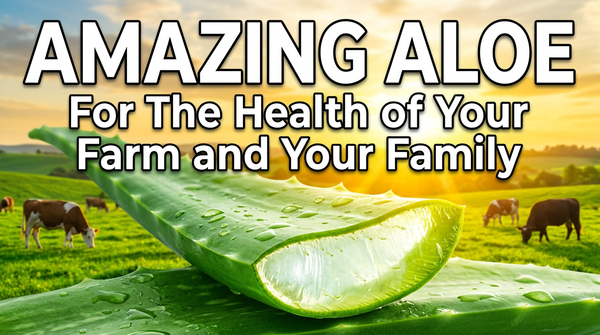 🌱Amazing Aloe - For The Health of Your Farm and Your Family 🦠