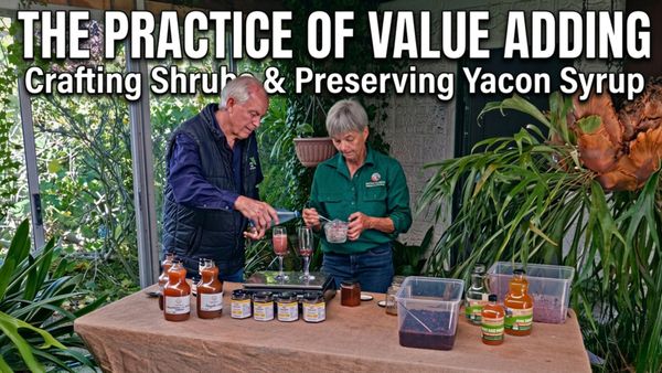 The Practice of Value Adding - Crafting Shrubs & Preserving Yacon Syrup - How to S5E9 🍅