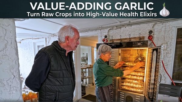 Value-Adding Garlic: Turn Raw Crops into High-Value Health Elixirs - How to S5E12 🧄