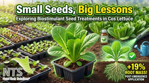 Small Seeds, Big Lessons: Exploring Biostimulant Seed Treatments in Cos Lettuce 🥬