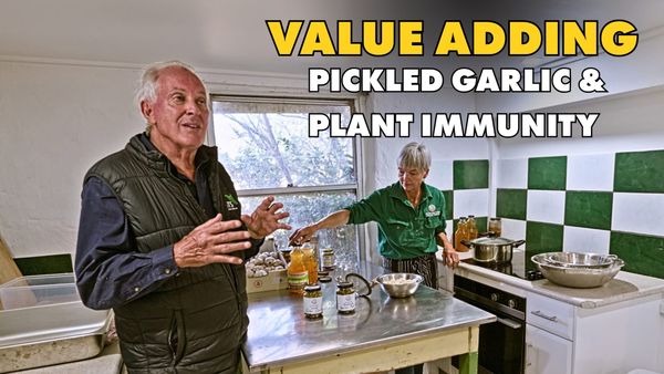 The Practice of Value Adding: Pickled Garlic & Plant Immunity - How to S5E15 🧄