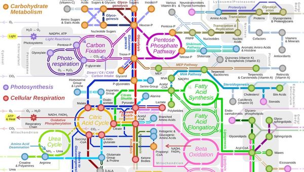 Sunday Reads: Metabolizing for the Good of the Species
