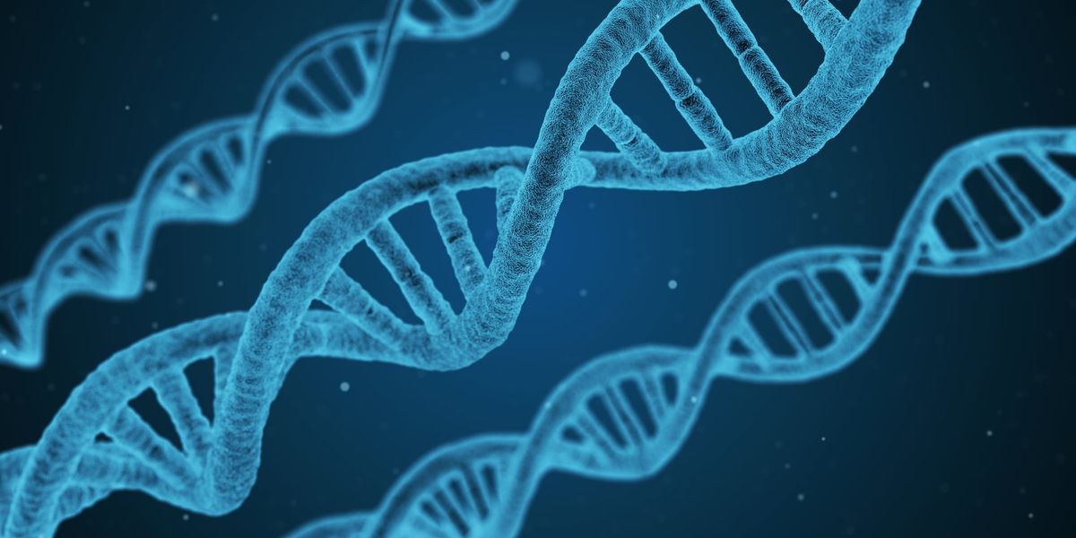 DNA Image by https://pixabay.com/users/qimono-1962238/