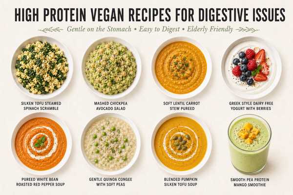 12 High Protein Vegan Recipes for Elderly with Digestive Issues That Are Gentle on the Stomach and Easy to Digest