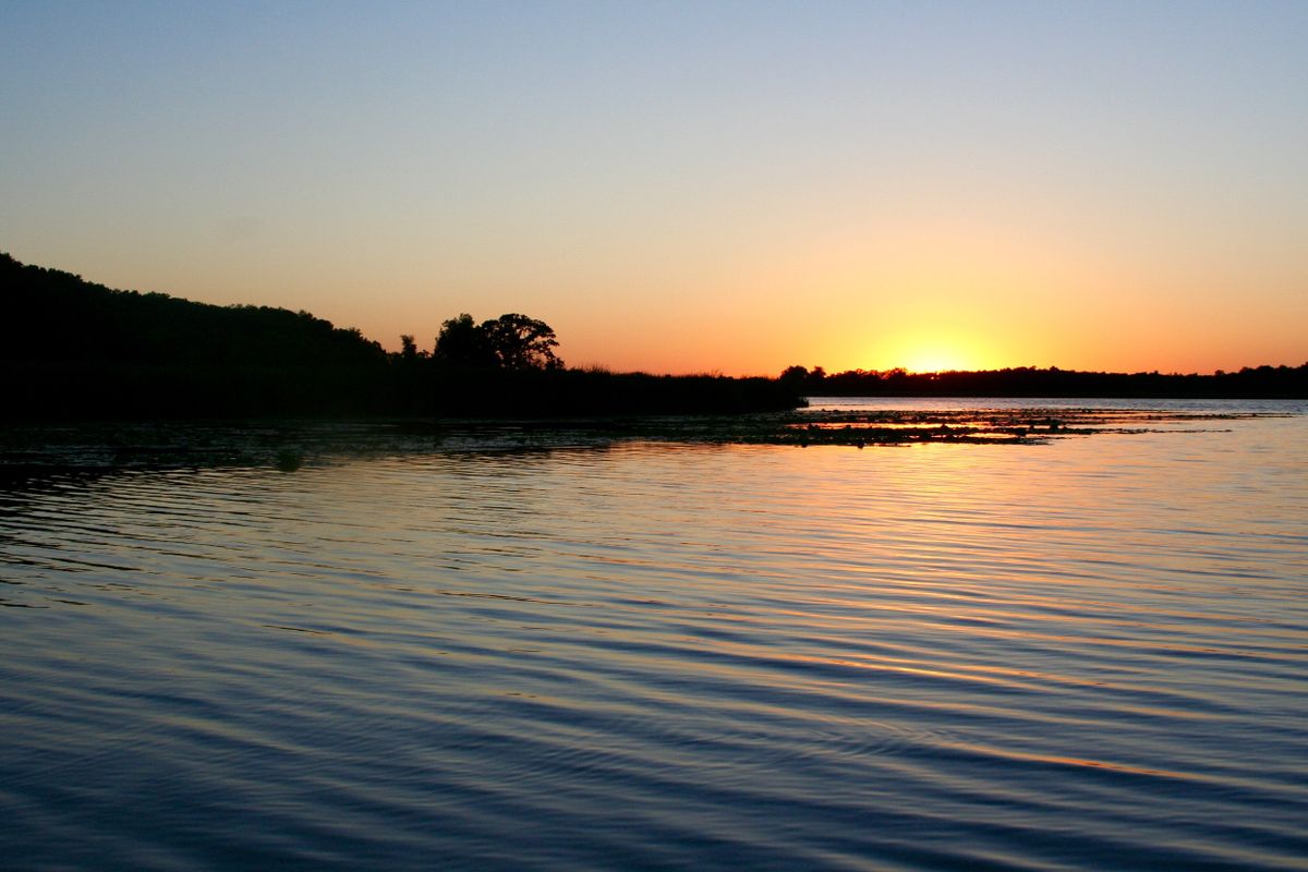 It's So Delicate, the Light