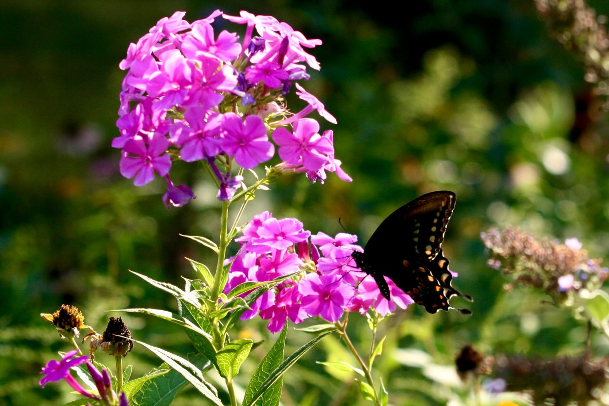 Growing As Our Children Grow