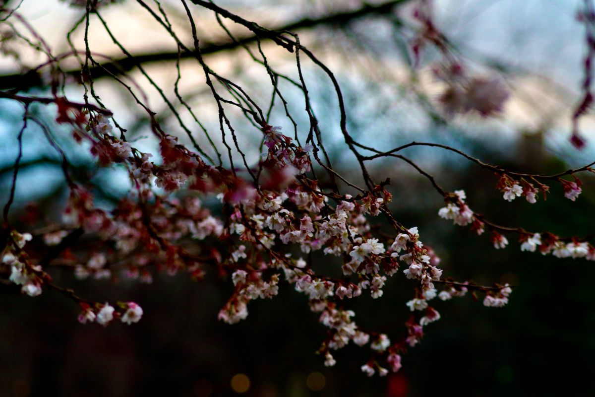 Redefining Resilience