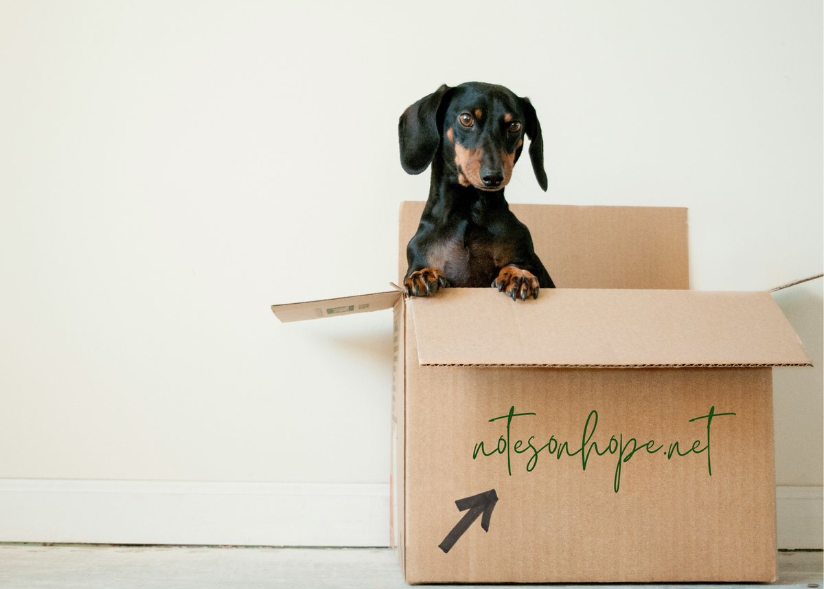 Welcome to Our New Home!