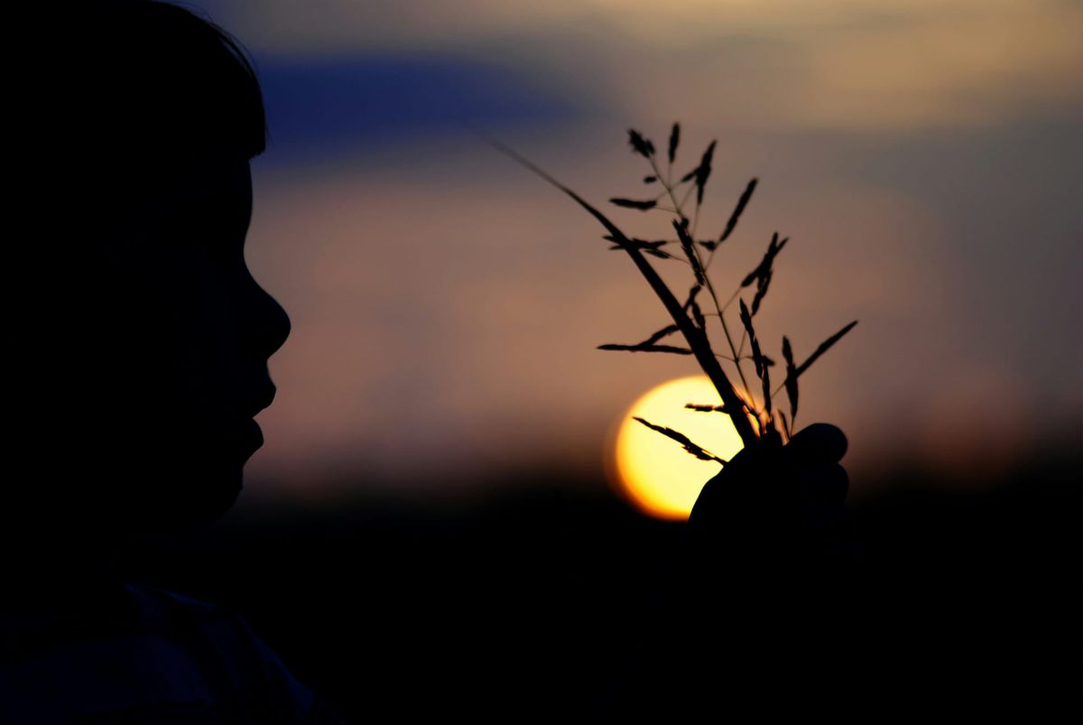 Silhouette of a child holding up blades of grass against a bright setting sun in the distance and a muted sky.