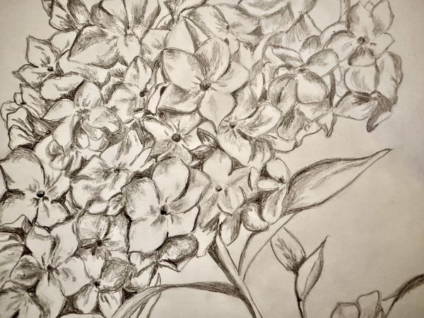 On Slowing Down & Looking Closely