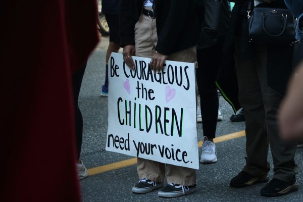 Protestor holding a sign that reads "Be Courageous the CHILDREN need your voice."