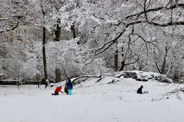 Children playing in the snow under snow covered trees.