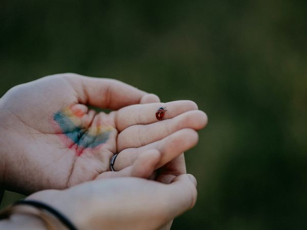 Cupped hands with a rainbow painted on one palm, gently holding a ladybug.
