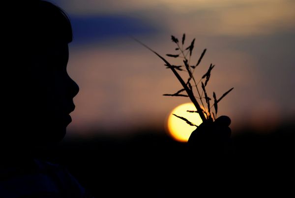 Silhouette of a child holding up blades of grass against a bright setting sun in the distance and a muted sky.