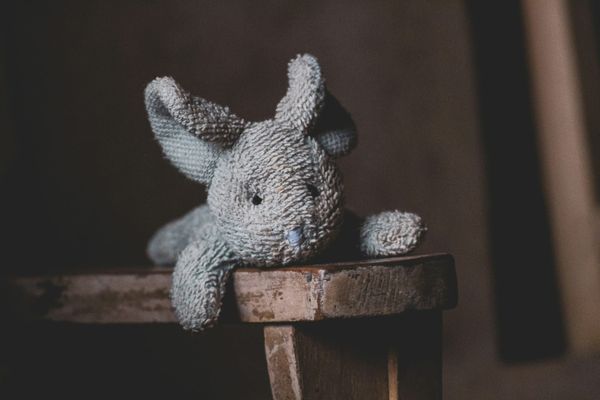 A well-loved stuffed rabbit lays on a wood bench looking out at the camera.
