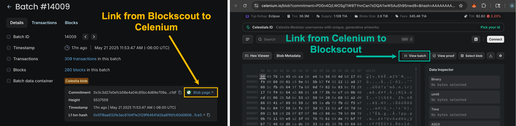 Blockscout to Celestia blockchain integration showing bidirectional data linking between explorer and modular DA network