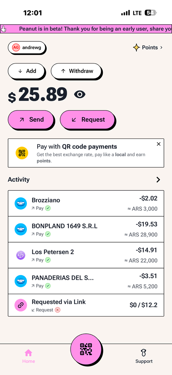 Or a slightly shorter version: "Peanut mobile crypto wallet app showing transaction history and QR code payments for real-world purchases in Buenos Aires, Argentina