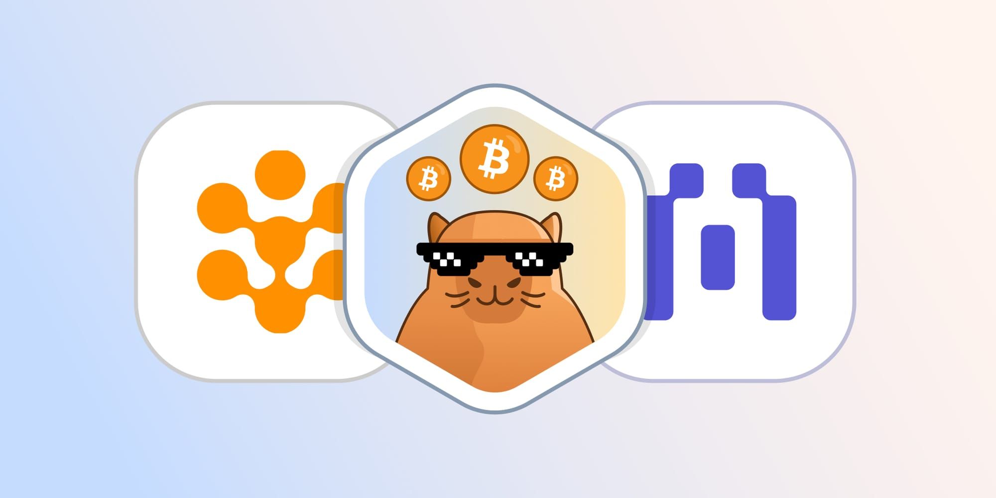 Blockscout - Rootstock Case Study