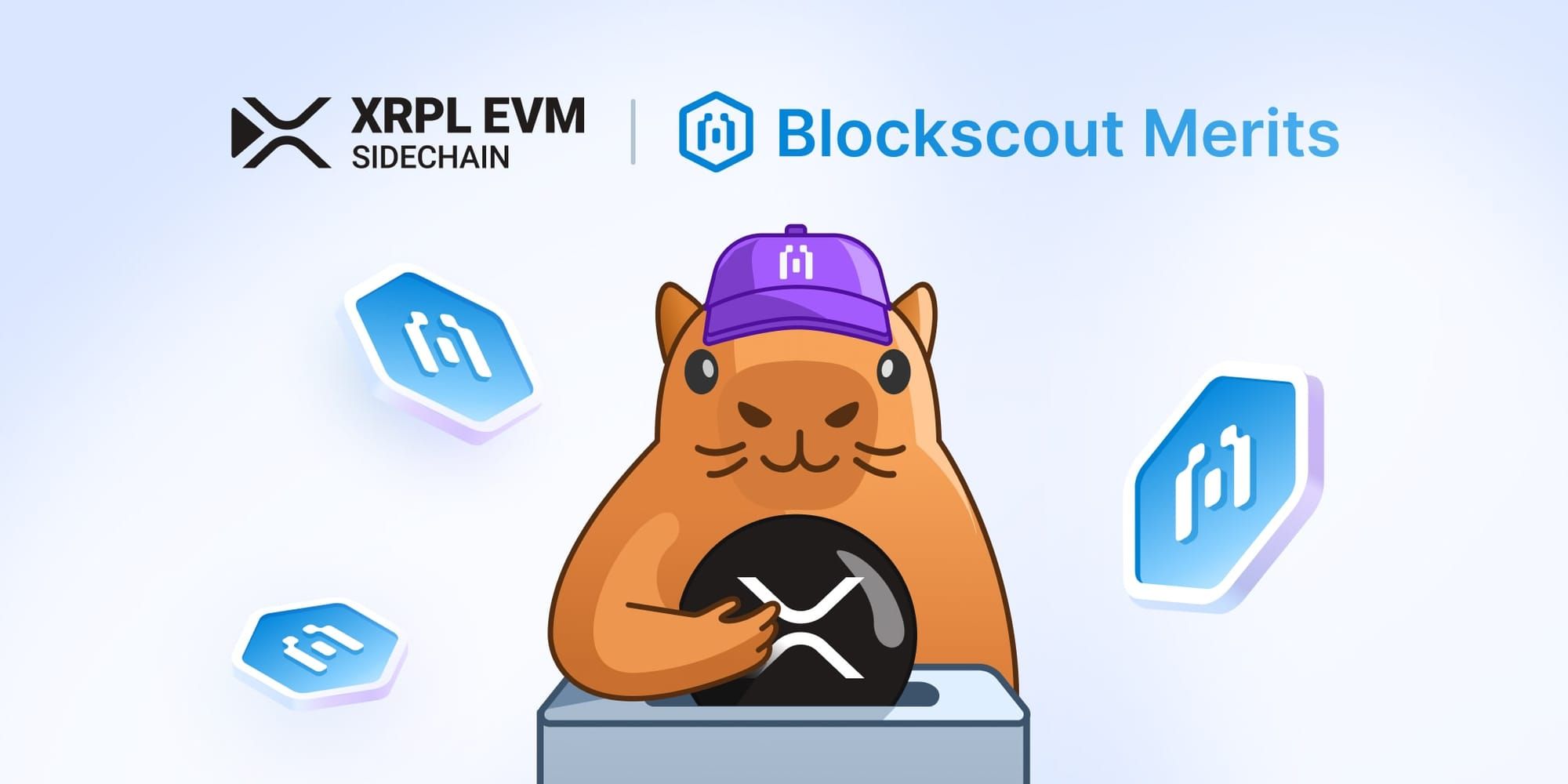 XRPL, XRP Ledger, XRPL EVM, XRPL EVM Sidechain, XRPL mainnet