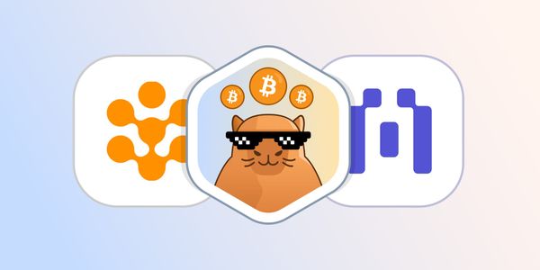 Blockscout - Rootstock Case Study