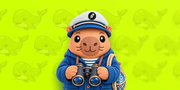 🐳 Crypto Whale-Watching:Build a Real-Time Alert Bot with Blockscout