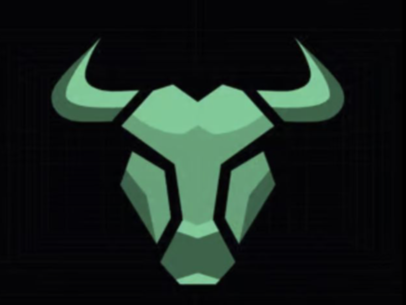 BullX NEO Logo