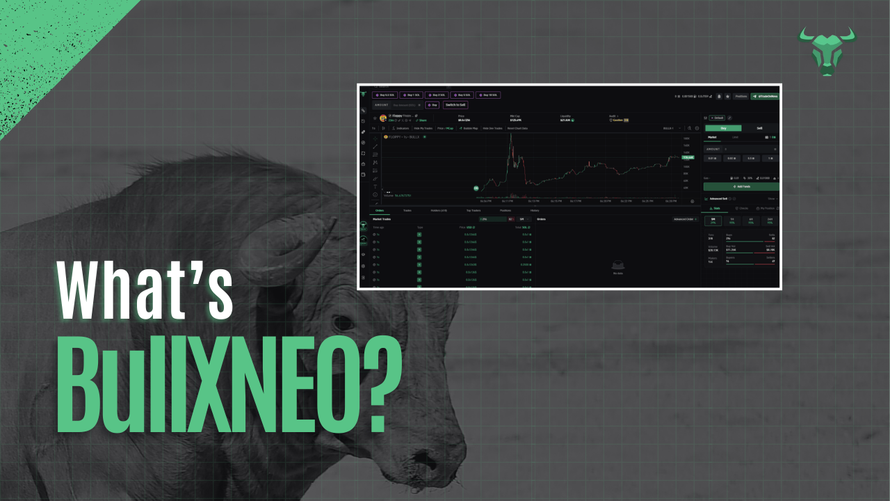What's BullXNEO?