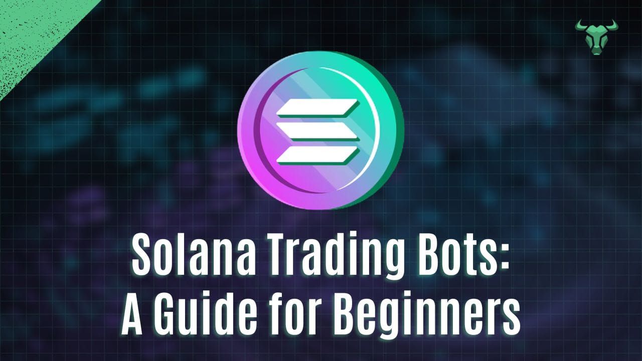 Solana Trading Bots: A Guide for Beginners