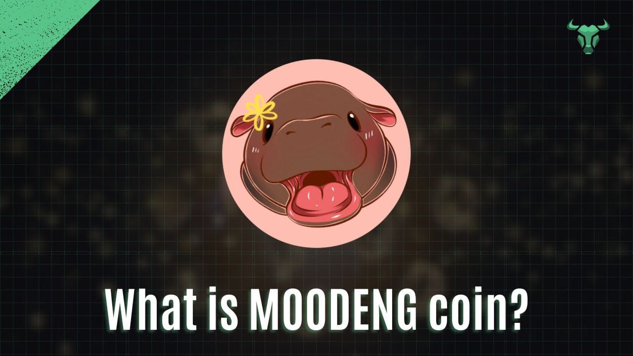 graphic for article What is MOODENG coin?