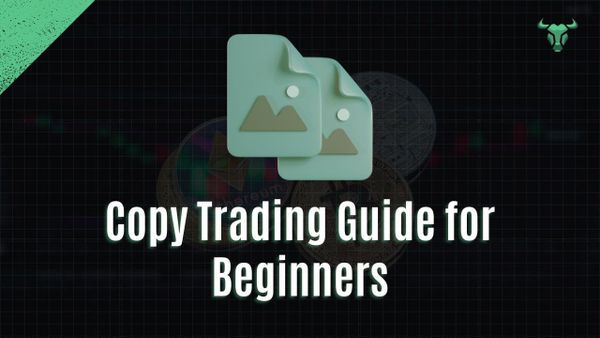 Copy Trading Guide for Beginners