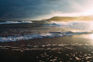 Out to Sea