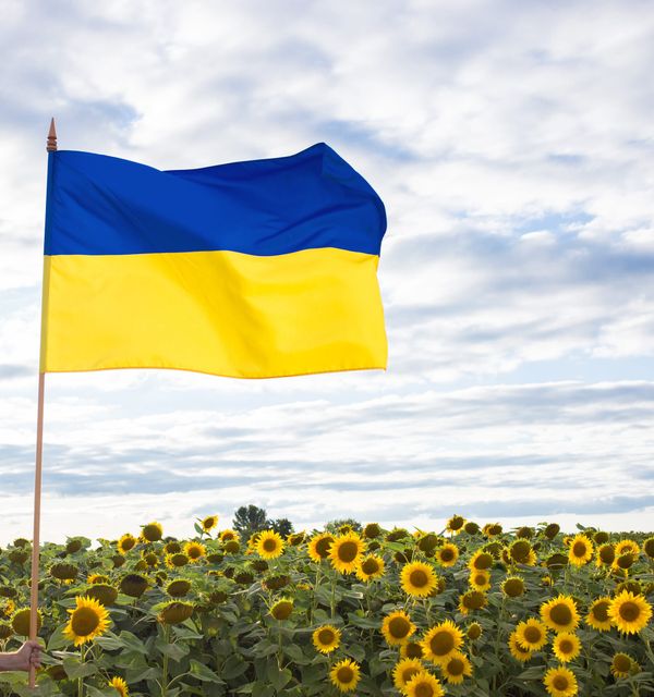 Happy Constitution day of Ukraine!